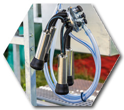 A milking machine
